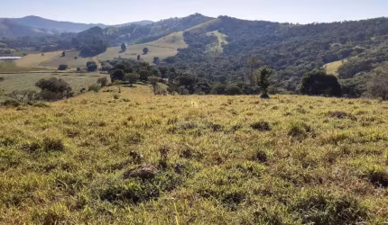 Maravilhoso Sítio à Venda em Socorro - SP