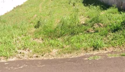 TERRENO NO COUNTRY  COM 1.100 M² - RARIDADE