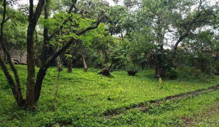Oportunidade Única em COTIA - SP | Tipo: Terreno | Negociação: Venda Direta Online  | Situação: Imóvel