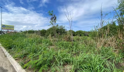 Área em Araruama - 9.620m2 - R$ 3.000.000,00 (Localização Estratégica) - Ponte dos Leites