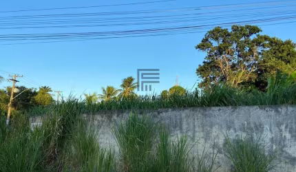 Excelente terreno com 450m² todo murado - Centro