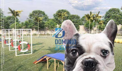 Terreno à venda, 278 m² por R$ 175.000,00 - Conjunto Manoel Mendes - Uberaba/MG