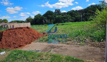 Terreno à venda, 250 m² por R$ 100.000 - Recreio dos Bandeirantes - Uberaba/MG