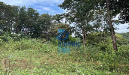 Área de 2500 metros quadrados
