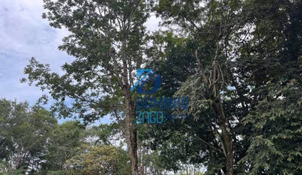 Área com 2,505,61 metros quadrados