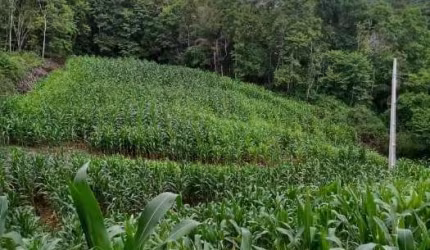 Terreno à venda na Geral do Rio Engano, 00, Rio Engano, Alfredo Wagner por R$ 500.000