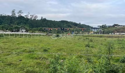 Terreno para alugar, 11000 m² por R$ 5.000,00/mês - Limoeiro - Brusque/SC