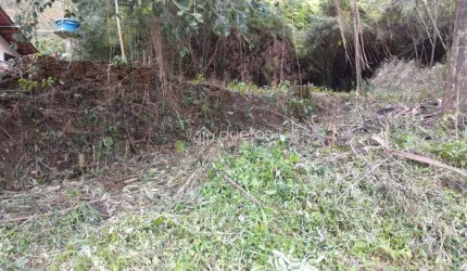 Terreno à venda, 800 m² - Limeira Alta - Brusque/SC