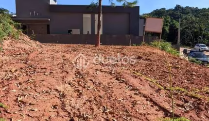 Terreno no Loteamento Tulipa em Brusque
