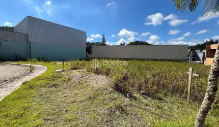 Terreno Plano