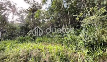 Terreno à venda, 21472 m² por R$ 198.000,00 - Aimore - Guabiruba/SC
