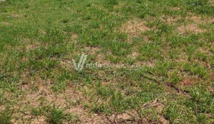 Terreno em condomínio fechado à venda na Avenida Luiz Greco, 600, Vila Monte Alegre, Paulínia por R$ 310.000