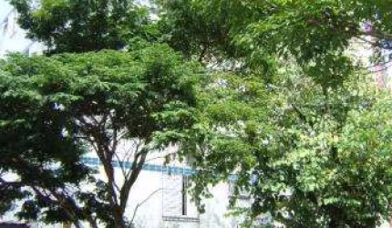 Apartamento com 3 quartos à venda em São Luiz, Belo Horizonte  por R$ 480.000