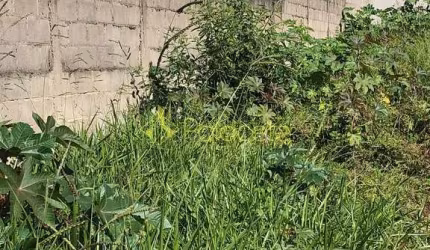 Terreno à venda 125M², Residencial Mombaça, Pindamonhangaba - SP