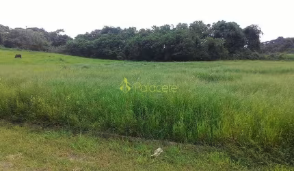 Terreno à venda 296M², Parque São Domingos, Pindamonhangaba - SP