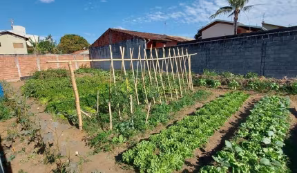 Terreno à venda 270M², Nossa Senhora do Perpétuo Socorro, Pindamonhangaba - SP