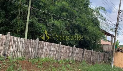 Terreno à venda 5000M², Jardim Campo Alegre, Pindamonhangaba - SP