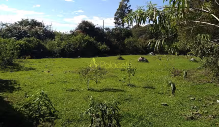 Terreno à venda 5000M², Jardim Eloyna, Pindamonhangaba - SP