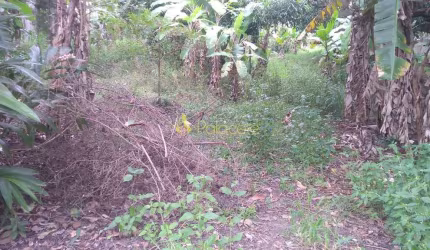 Terreno à venda 6866M², Crispim, Pindamonhangaba - SP