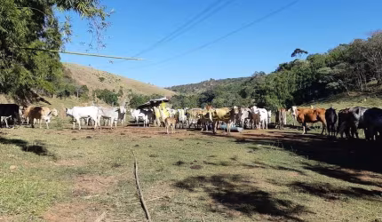 Chácara à venda 484000M², Cruz Pequena, Pindamonhangaba - SP