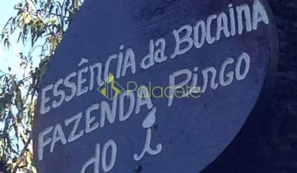 Chácara à venda 726000M², Bairro dos Macacos, Silveiras - SP