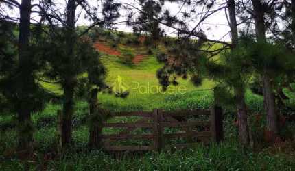 Chácara à venda 30000M², Zona Rural, Silveiras - SP