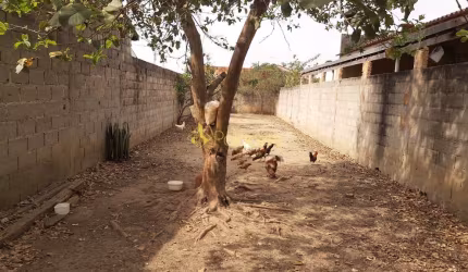 Terreno à venda todo murado ótima topografia , Residencial e Comercial Laerte Asumpção, Pindamonhan