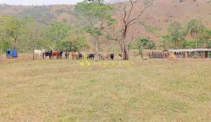 Fazenda proxima a Dutra paraa venda, , Roseira Velha, SP