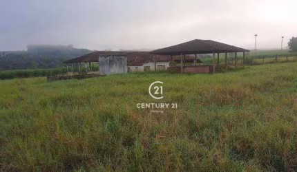 Sítio à venda, 508200 m² por R$ 4.410.000,00 - Zona Rural - Tambaú/SP