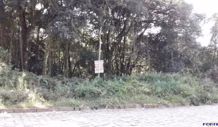 Terreno para venda  no Bairro Ana Rech em Caxias do Sul