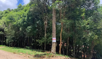 Terreno à venda em Ana Rech, Caxias do Sul