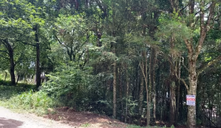 Terreno à venda em Ana Rech, Caxias do Sul