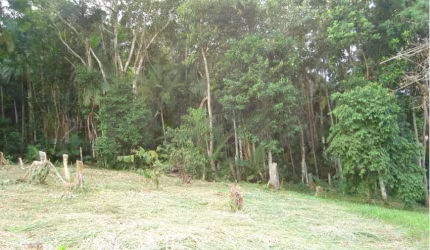 Terreno comercial à venda no Do Salto, Blumenau , 5150 m2 por R$ 1.400.000