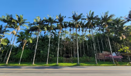 Terreno comercial à venda no Testo Salto, Blumenau , 25000 m2 por R$ 4.200.000