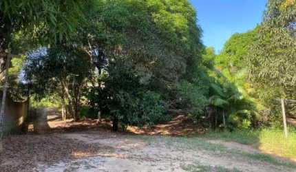 Área Urbana 4.800m2 - Nova Esperança