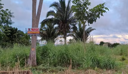 Área a venda - 5.000M²