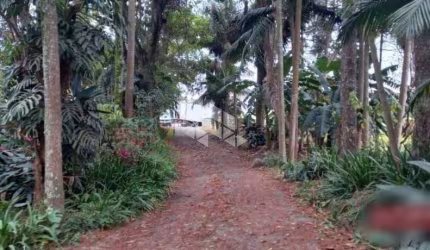 Terreno, 21 m² - venda por R$ 29.400.000,00 ou aluguel por R$ 25.000,00/mês - Parque Edu Chaves - São Paulo/SP