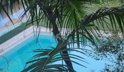 Chácara com 1.600m², Piscina, 2 Casas e Ótima Localização!