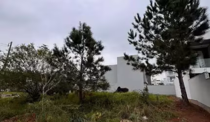 TERRENO São Jacó Sapiranga