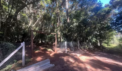 TERRENO Linha Gorgen Morro Reuter