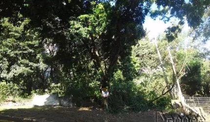 TERRENO Centro Novo Hamburgo