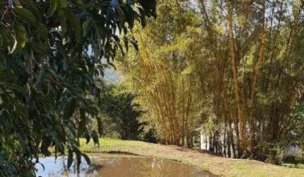 CHACARA - SITIO Ararica Nova Hartz