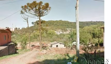 AREA São José Novo Hamburgo