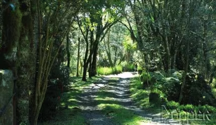 AREA Vila Suica Gramado