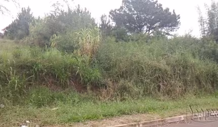 AREA Rondônia Novo Hamburgo