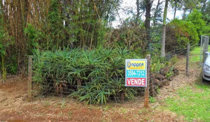 CHACARA - SITIO Picada Sao Jaco Sapiranga