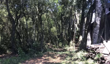 TERRENO Centro Morro Reuter