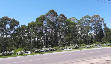AREA Avenida Central Gramado