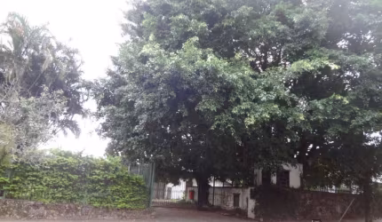 TERRENO Vila Rosa Novo Hamburgo