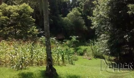 AREA Centenário Sapiranga